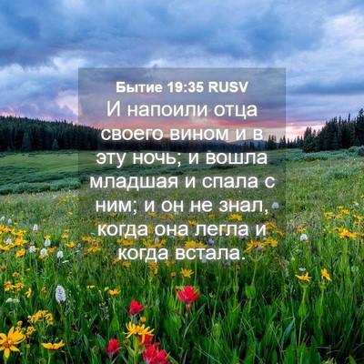 Picture 04 - Бытие 19:35 RUSV - И напоили отца своего - Bible Verse Picture