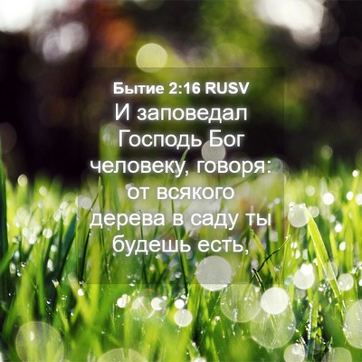 Picture 04 - Бытие 2:16 RUSV - И заповедал Господь Бог - Bible Verse Picture
