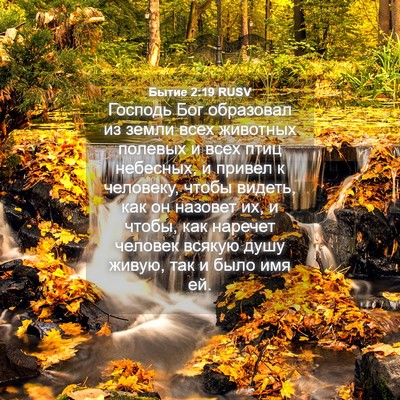Picture 04 - Бытие 2:19 RUSV - Господь Бог образовал из - Bible Verse Picture