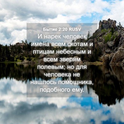 Picture 04 - Бытие 2:20 RUSV - И нарек человек имена всем - Bible Verse Picture