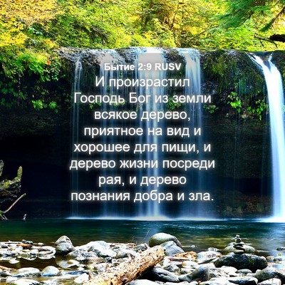 Picture 04 - Бытие 2:9 RUSV - И произрастил Господь Бог - Bible Verse Picture