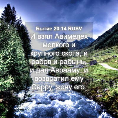 Picture 04 - Бытие 20:14 RUSV - И взял Авимелех мелкого и - Bible Verse Picture