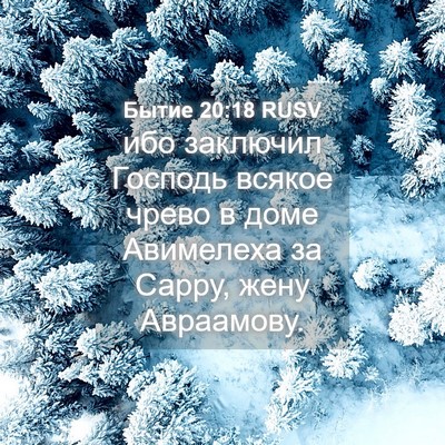 Picture 04 - Бытие 20:18 RUSV - ибо заключил Господь - Bible Verse Picture