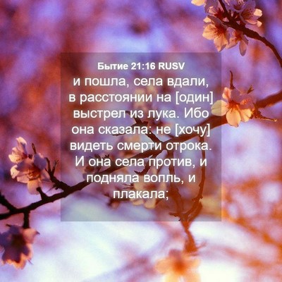 Picture 04 - Бытие 21:16 RUSV - и пошла, села вдали, в - Bible Verse Picture