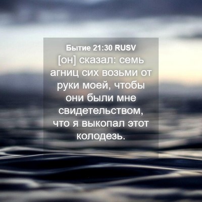 Picture 04 - Бытие 21:30 RUSV - [он] сказал: семь агниц сих - Bible Verse Picture