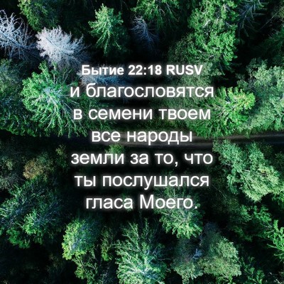 Picture 04 - Бытие 22:18 RUSV - и благословятся в семени - Bible Verse Picture
