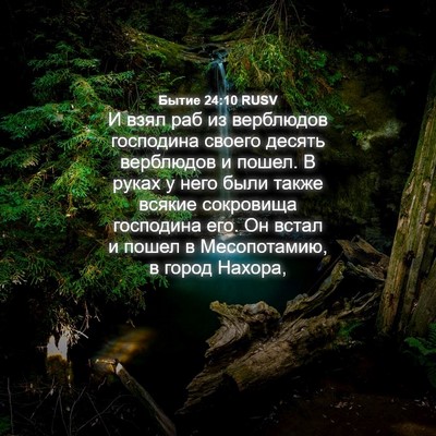 Picture 04 - Бытие 24:10 RUSV - И взял раб из верблюдов - Bible Verse Picture