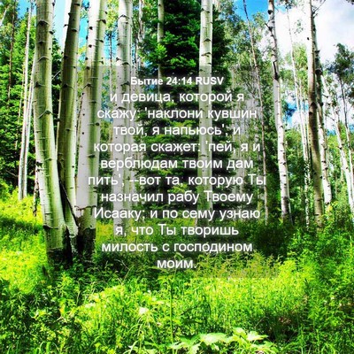 Picture 04 - Бытие 24:14 RUSV - и девица, которой я скажу: - Bible Verse Picture