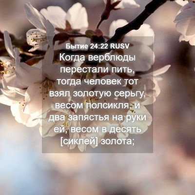 Picture 04 - Бытие 24:22 RUSV - Когда верблюды перестали - Bible Verse Picture