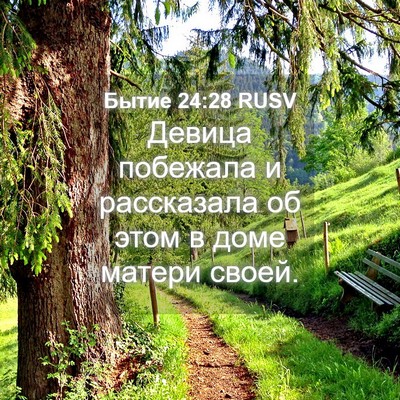 Picture 04 - Бытие 24:28 RUSV - Девица побежала и - Bible Verse Picture