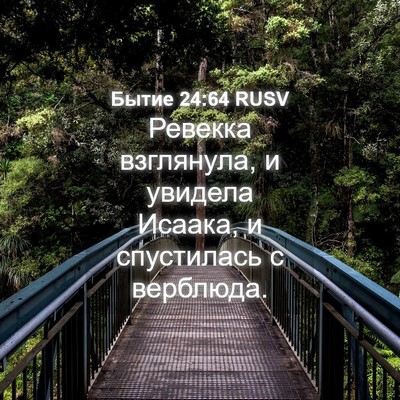 Picture 04 - Бытие 24:64 RUSV - Ревекка взглянула, и - Bible Verse Picture