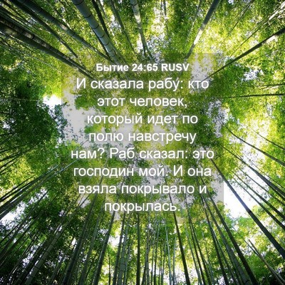 Picture 04 - Бытие 24:65 RUSV - И сказала рабу: кто этот - Bible Verse Picture