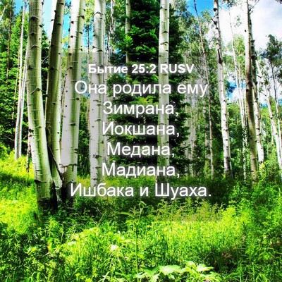 Picture 04 - Бытие 25:2 RUSV - Она родила ему Зимрана, - Bible Verse Picture