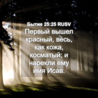 Picture 04 - Бытие 25:25 RUSV - Первый вышел красный, весь, - Bible Verse Picture