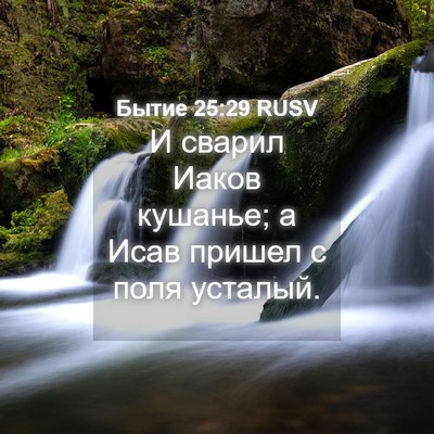 Picture 04 - Бытие 25:29 RUSV - И сварил Иаков кушанье; а - Bible Verse Picture