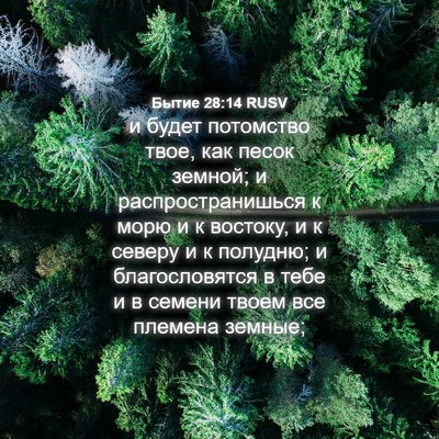 Picture 04 - Бытие 28:14 RUSV - и будет потомство твое, как - Bible Verse Picture