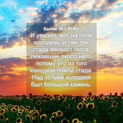Picture 04 - Бытие 29:2 RUSV - И увидел: вот, на поле - Bible Verse Picture