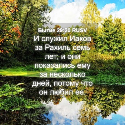 Picture 04 - Бытие 29:20 RUSV - И служил Иаков за Рахиль - Bible Verse Picture