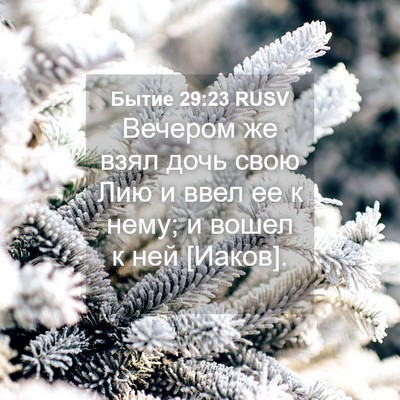 Picture 04 - Бытие 29:23 RUSV - Вечером же взял дочь свою - Bible Verse Picture