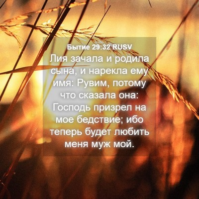 Picture 04 - Бытие 29:32 RUSV - Лия зачала и родила сына, и - Bible Verse Picture