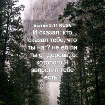 Picture 04 - Бытие 3:11 RUSV - И сказал: кто сказал тебе, - Bible Verse Picture