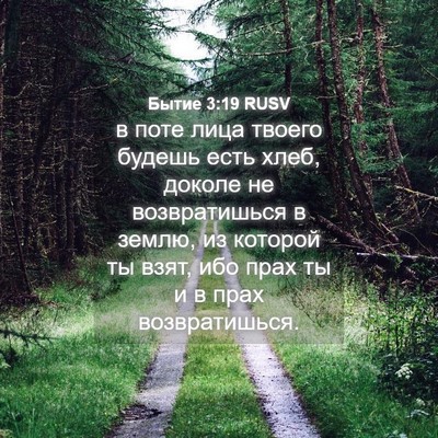 Picture 04 - Бытие 3:19 RUSV - в поте лица твоего будешь - Bible Verse Picture