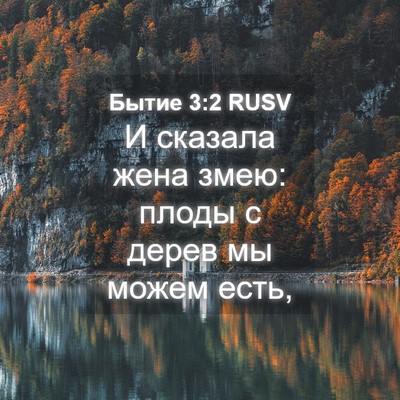 Picture 04 - Бытие 3:2 RUSV - И сказала жена змею: плоды - Bible Verse Picture