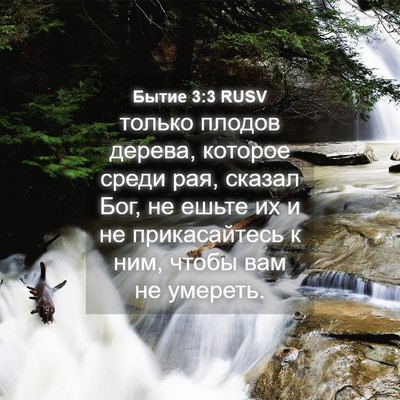 Picture 04 - Бытие 3:3 RUSV - только плодов дерева, - Bible Verse Picture