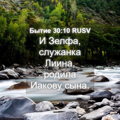 Picture 04 - Бытие 30:10 RUSV - И Зелфа, служанка Лиина, - Bible Verse Picture