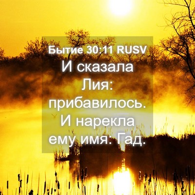Picture 04 - Бытие 30:11 RUSV - И сказала Лия: прибавилось. - Bible Verse Picture