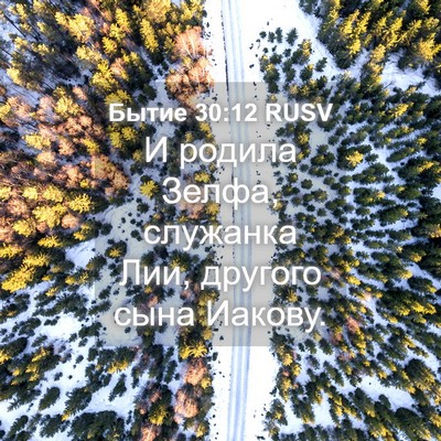 Picture 04 - Бытие 30:12 RUSV - И родила Зелфа, служанка - Bible Verse Picture