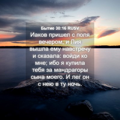 Picture 04 - Бытие 30:16 RUSV - Иаков пришел с поля - Bible Verse Picture