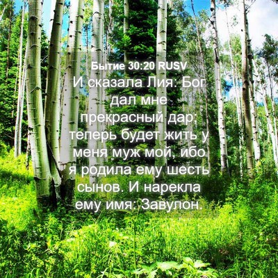 Picture 04 - Бытие 30:20 RUSV - И сказала Лия: Бог дал мне - Bible Verse Picture