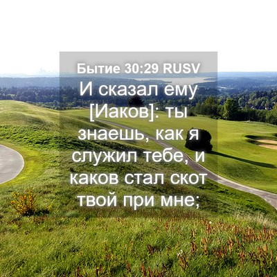 Picture 04 - Бытие 30:29 RUSV - И сказал ему [Иаков]: ты - Bible Verse Picture
