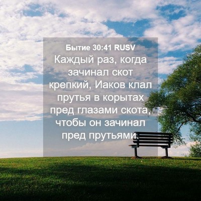 Picture 04 - Бытие 30:41 RUSV - Каждый раз, когда зачинал - Bible Verse Picture