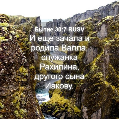 Picture 04 - Бытие 30:7 RUSV - И еще зачала и родила - Bible Verse Picture