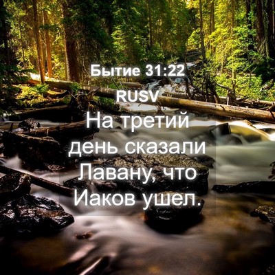 Picture 04 - Бытие 31:22 RUSV - На третий день сказали - Bible Verse Picture