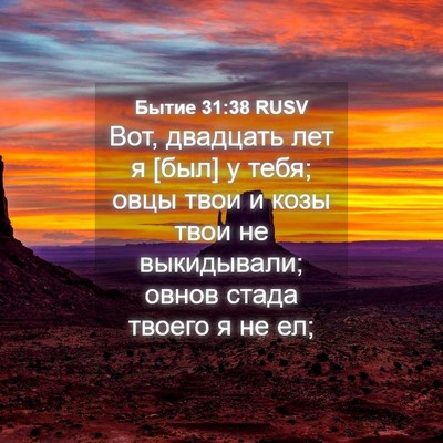 Picture 04 - Бытие 31:38 RUSV - Вот, двадцать лет я [был] у - Bible Verse Picture