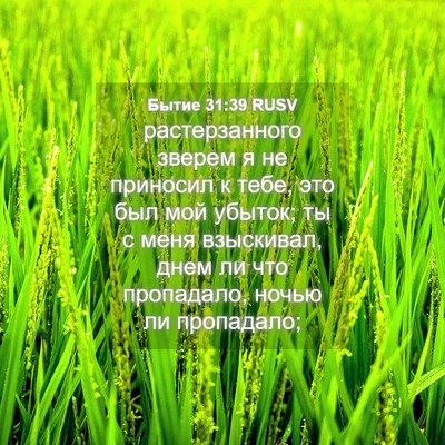 Picture 04 - Бытие 31:39 RUSV - растерзанного зверем я не - Bible Verse Picture