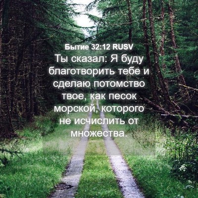 Picture 04 - Бытие 32:12 RUSV - Ты сказал: Я буду - Bible Verse Picture