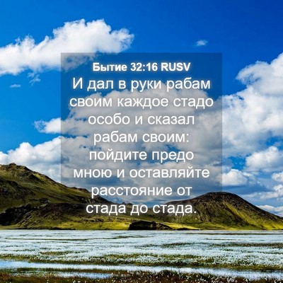 Picture 04 - Бытие 32:16 RUSV - И дал в руки рабам своим - Bible Verse Picture