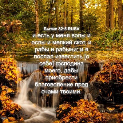 Picture 04 - Бытие 32:5 RUSV - и есть у меня волы и ослы и - Bible Verse Picture