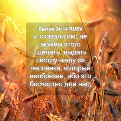 Picture 04 - Бытие 34:14 RUSV - и сказали им: не можем - Bible Verse Picture