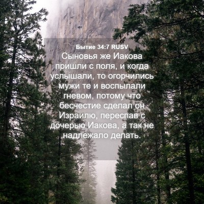 Picture 04 - Бытие 34:7 RUSV - Сыновья же Иакова пришли с - Bible Verse Picture