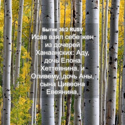 Picture 04 - Бытие 36:2 RUSV - Исав взял себе жен из - Bible Verse Picture