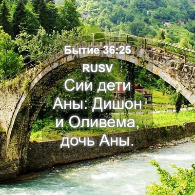 Picture 04 - Бытие 36:25 RUSV - Сии дети Аны: Дишон и - Bible Verse Picture