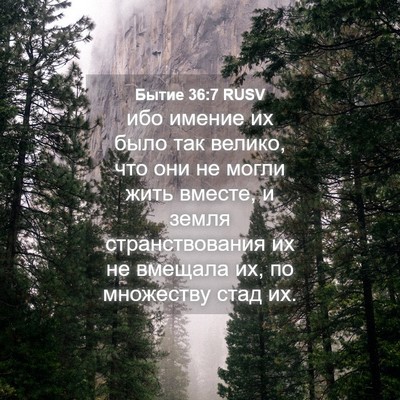 Picture 04 - Бытие 36:7 RUSV - ибо имение их было так - Bible Verse Picture