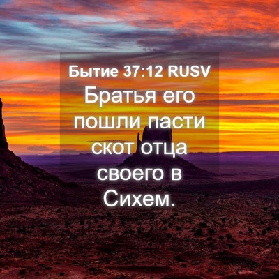 Picture 04 - Бытие 37:12 RUSV - Братья его пошли пасти - Bible Verse Picture