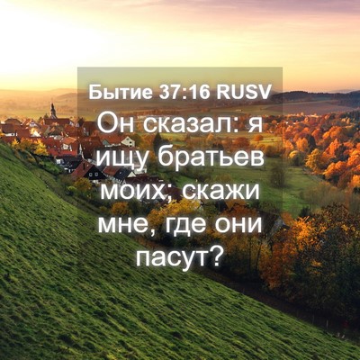 Picture 04 - Бытие 37:16 RUSV - Он сказал: я ищу братьев - Bible Verse Picture
