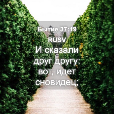 Picture 04 - Бытие 37:19 RUSV - И сказали друг другу: вот, - Bible Verse Picture